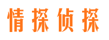 甘井子商务调查